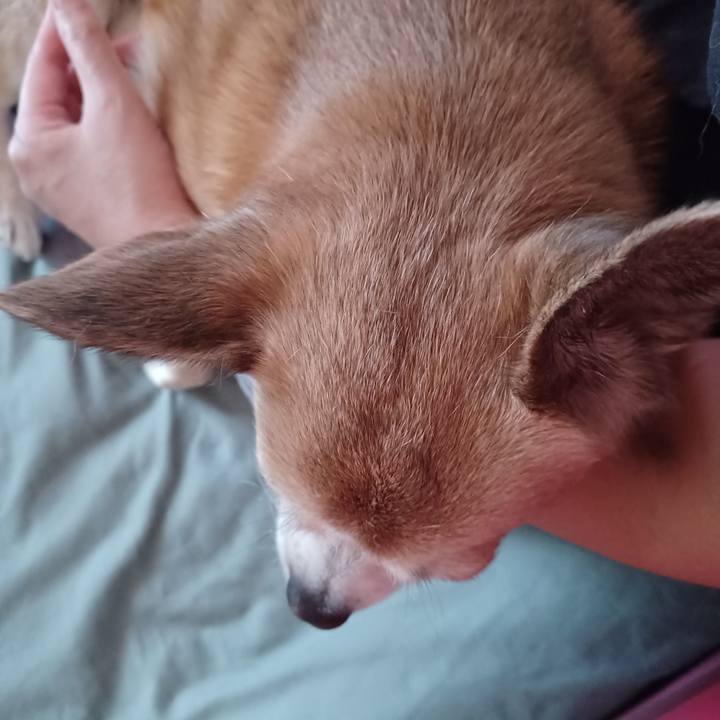 9fe492fc a94f 4020 8cca 03b1858b8bf4 1757746915881