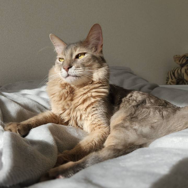 9fe4ad64 1613 4e6f 88da d301de3d2c92 1701592181710