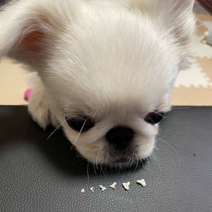 9fe4fe6b 93bf 4f14 9274 690ab75ccf20 1639197669458