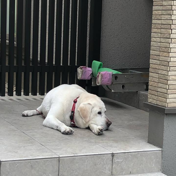 9fe4fedc ccda 447f 85b7 0bc5055cbcfc 1555680618640