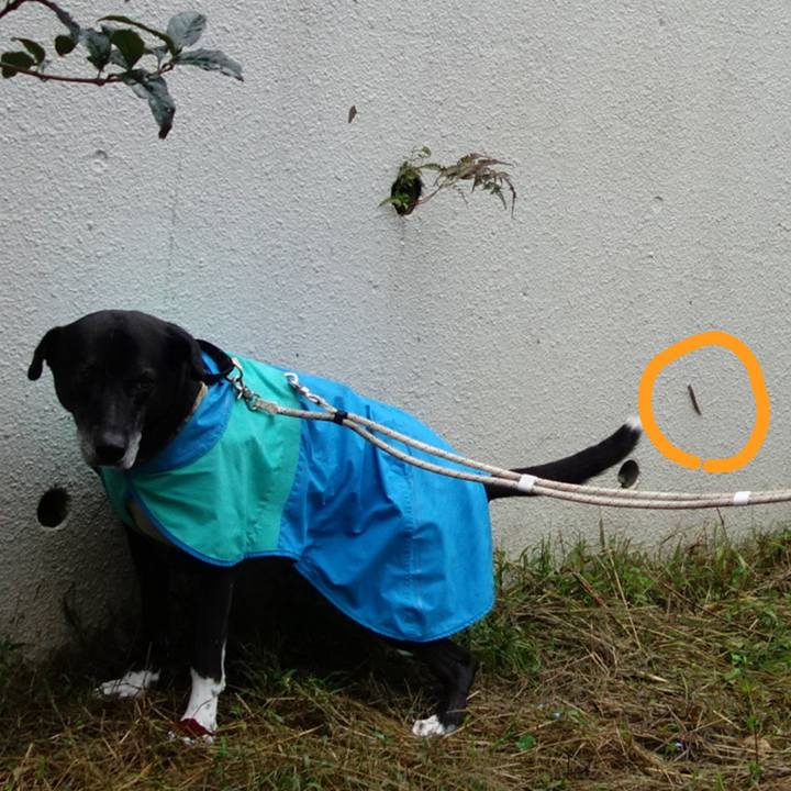 9fe50722 2b9c 4a9a b823 e1726d7eb4c9 1728432523514