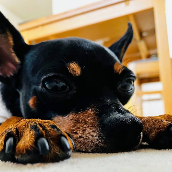 9fe53cf0 9c0e 47f0 9f4e d13751eaa7e6 1718658293815