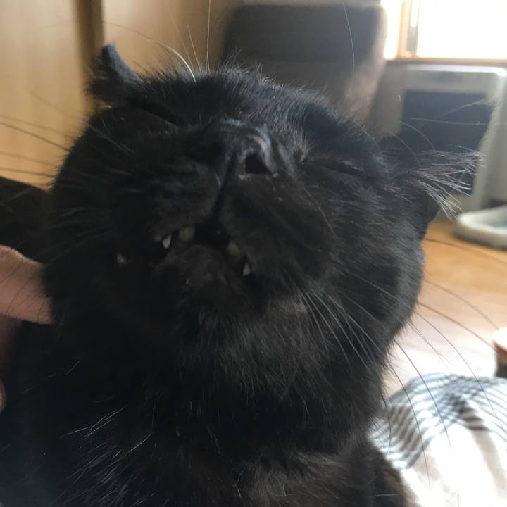 9fe56101 b80d 4f4d a0dc 59e58731a531 1533108717568