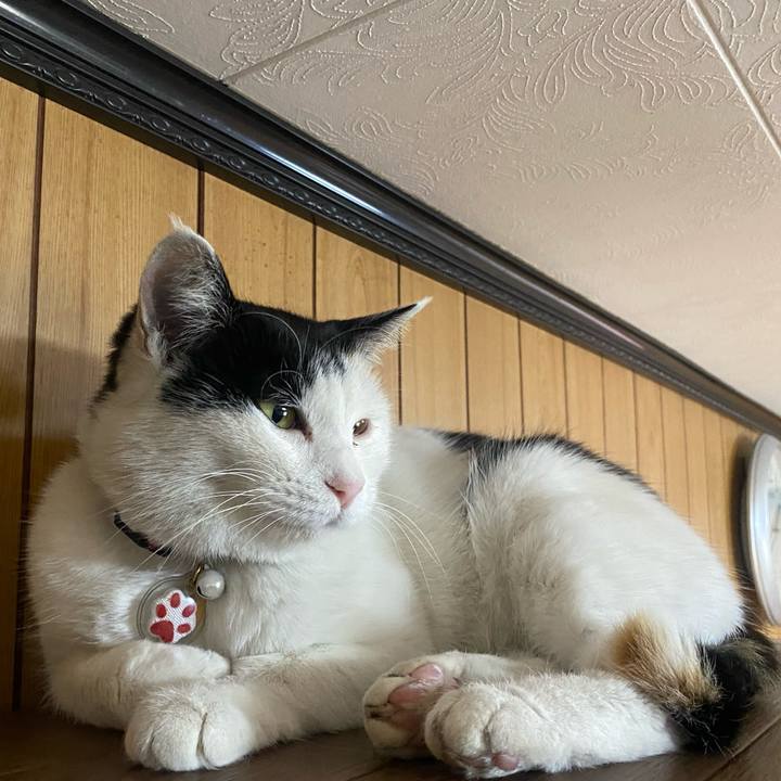 9fe56e50 3138 4f26 9dc4 aec4389550dc 1642926009261