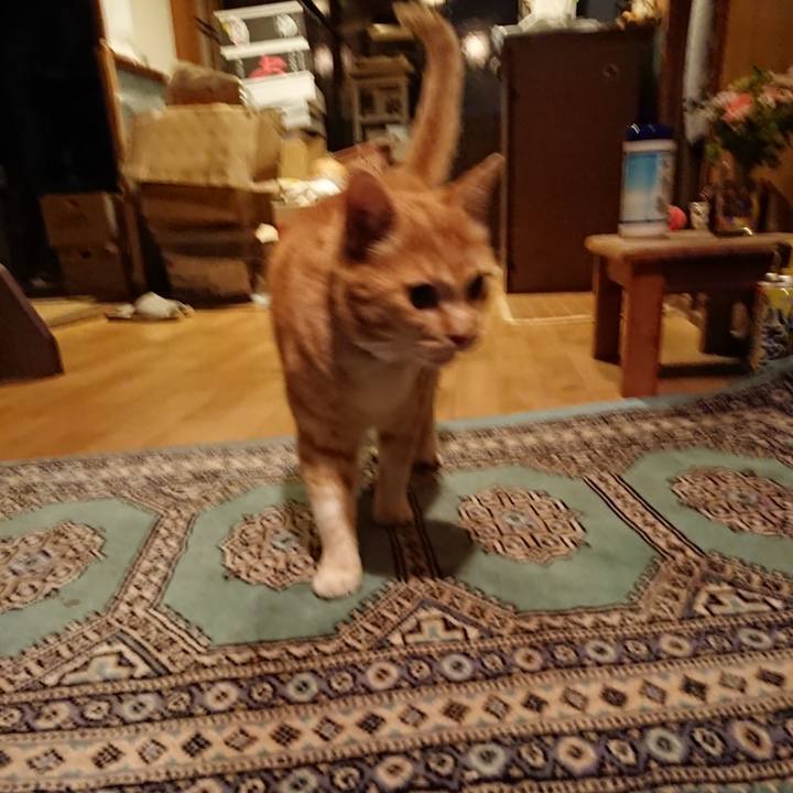 9fe57bef 7bf5 4a79 bb3f ac35cd6504c0 1586166280961