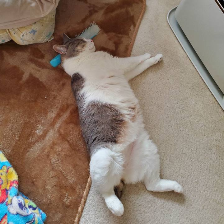 9fe5a985 27d0 46dc 8a6a c5b1e82d5bf9 1710149138432