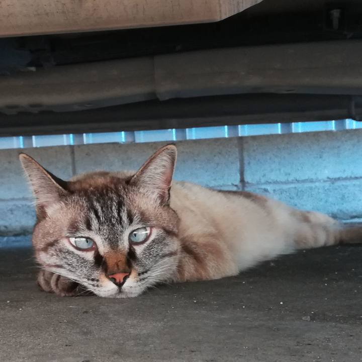 9fe5b727 5ecd 405f 899d c63ab8a32523 1565665513599