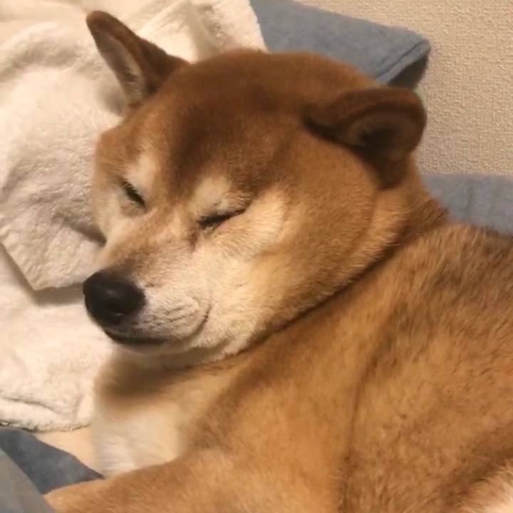 9fe5c24f 0b96 43fb 8344 c7b71f669eb9 1517242438358