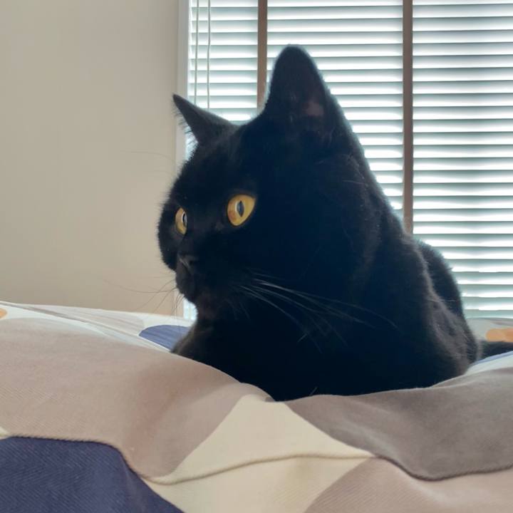 9fe5e314 d0ba 4042 a1de b5291e627f96 1773302418424