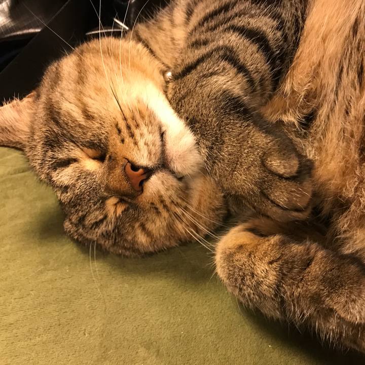 9fe5f442 d492 4315 b90e f50ae609d3b0 1564751684744