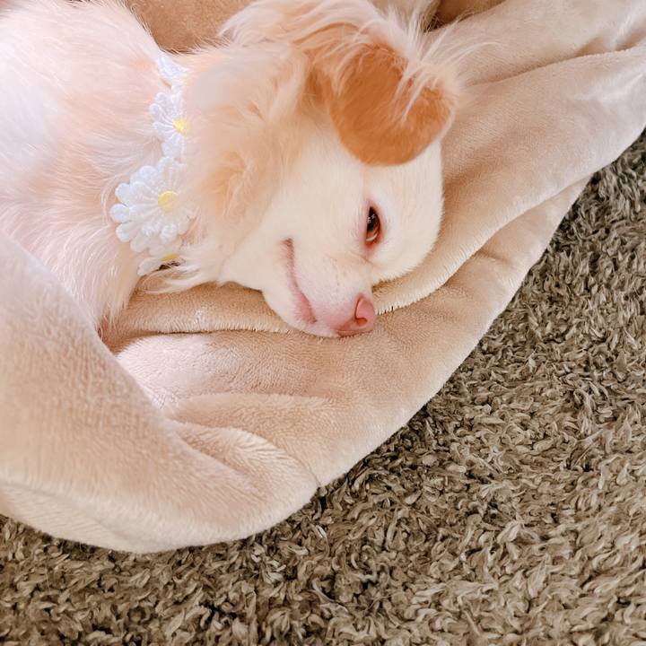 9fe6009d 8f06 4855 a1af d3f0b5e53653 1662095815795