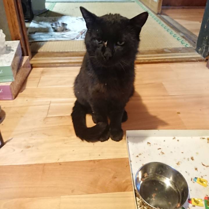 9fe60465 e7b6 448b 8f7e 56469172cd71 1623580478417