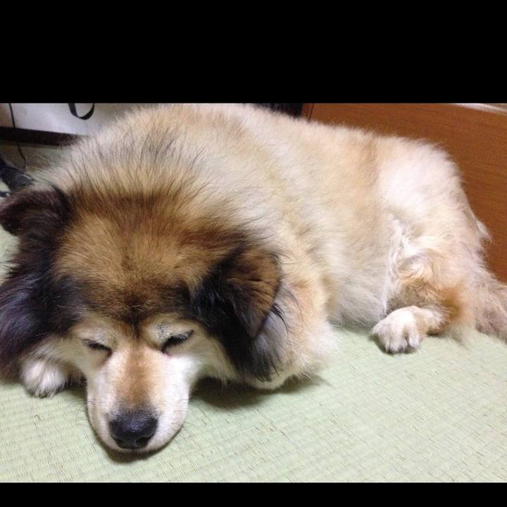 9fe64aaa 2f43 43cd 9815 da66b6db9b71 1638808737802