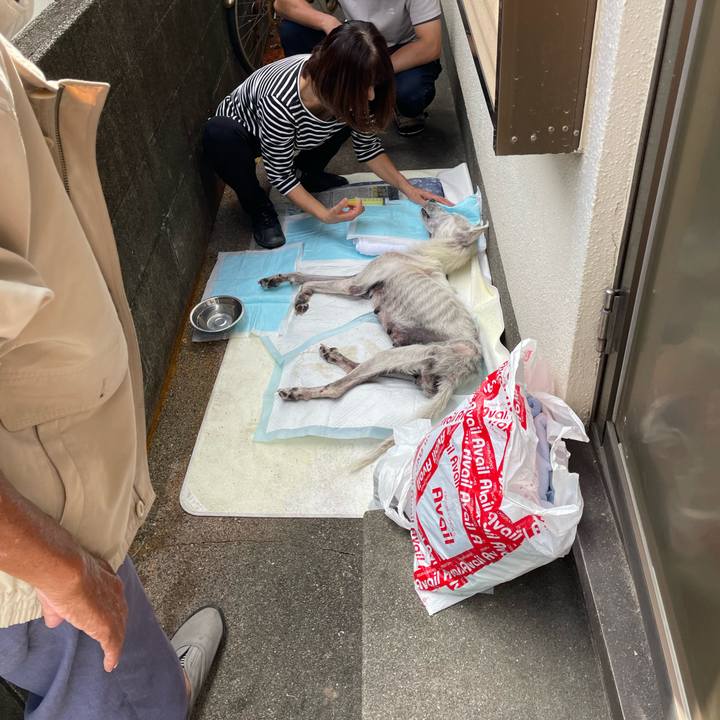 9fe67455 e1bb 4d2f 95bc ba3720a22c9b 1697111205661