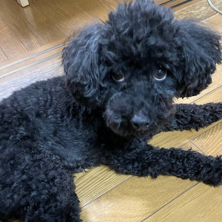 9fe67799 d119 4334 9397 4a30b613c41b 1624240313329