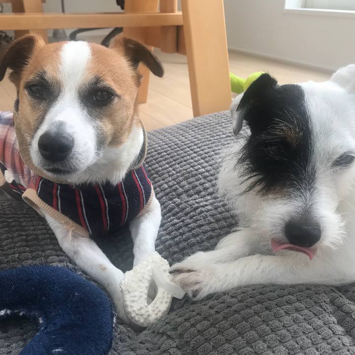 9fe6a36f 99ea 4cde 8d09 291b265c9137 1529373755476