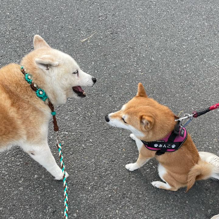 9fe6c0c0 b8b2 48a3 950b ad4d1eeff6b3 1694792666636