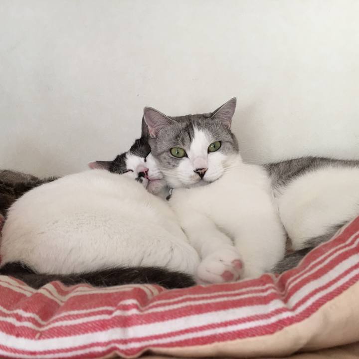 9fe6c10a acf6 401e 8961 800237bca635 1510195129575