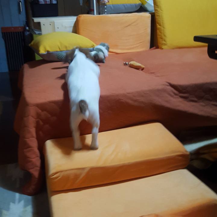 9fe6d051 0110 4aea b69c a69bd6b1abea 1550138245873