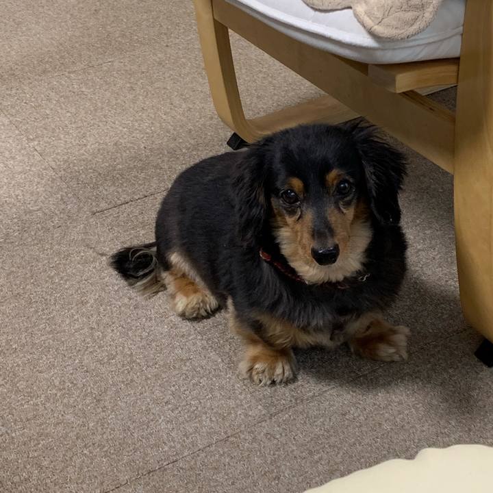 9fe6d7b2 1e61 4322 99ce 7f0ef7826c82 1556315591775