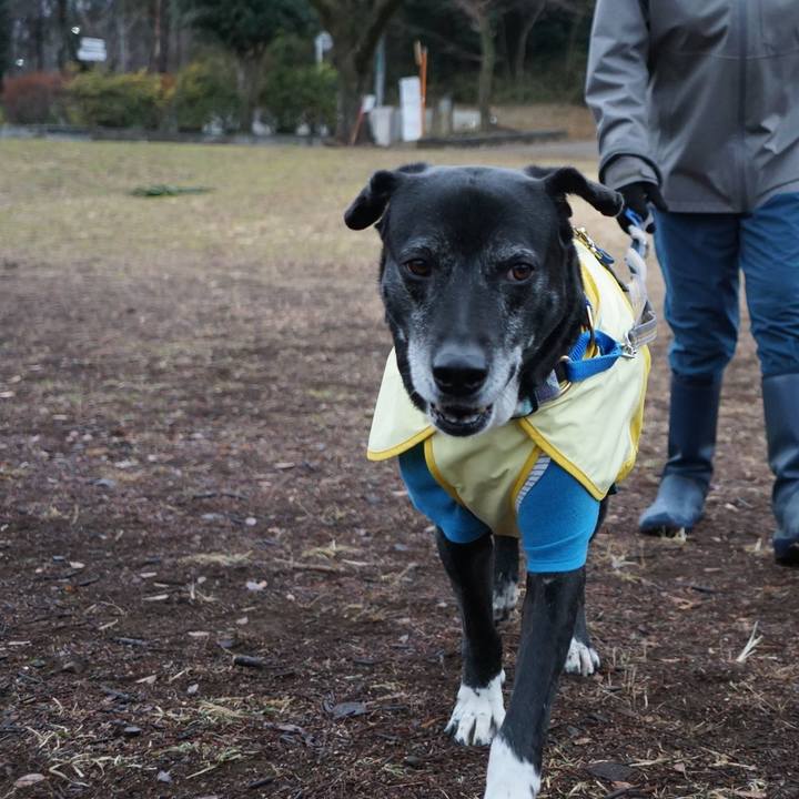 9fe6e797 f670 4269 b4c9 d319adff1cc5 1770768447923