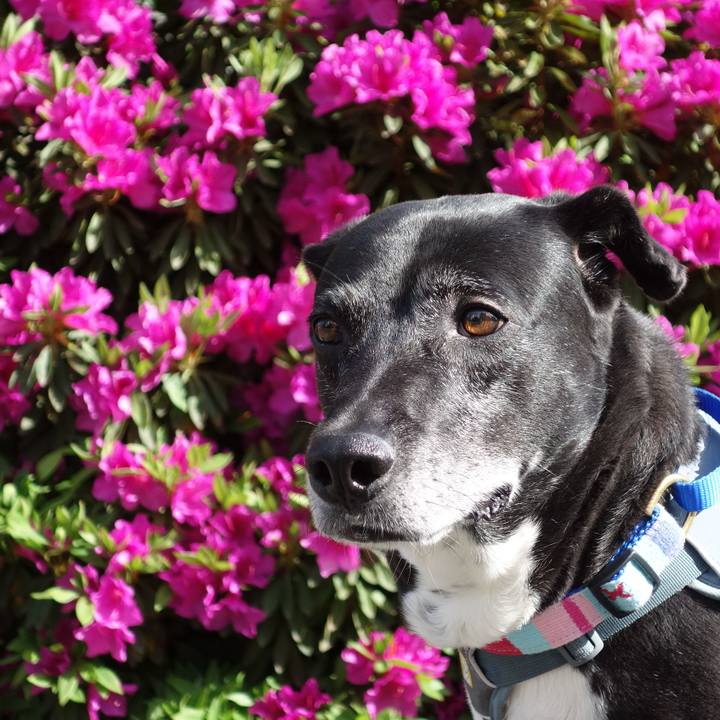 9fe7273d 3c42 4635 bdfd 8dd2b5685d49 1745195324532