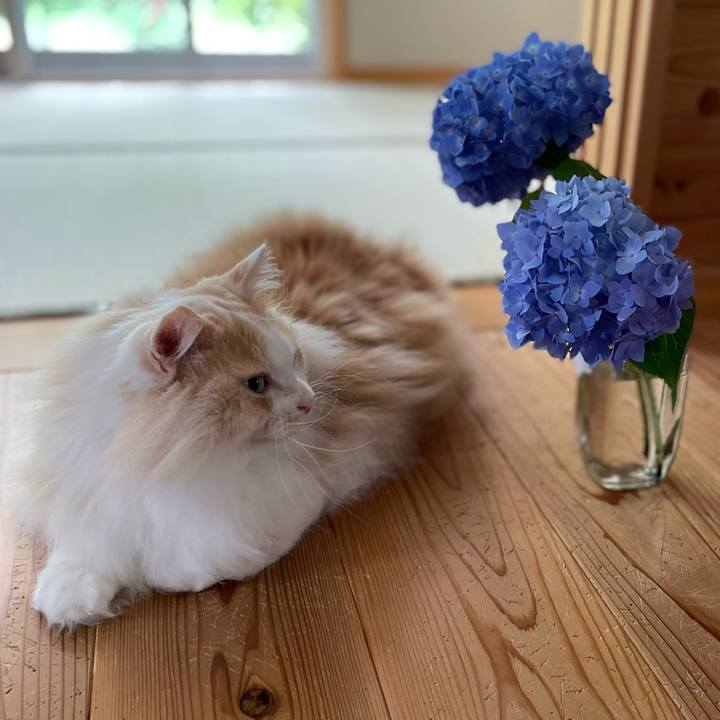 9fe730f5 7162 4e22 8506 552e5c3f600d 1686607175391