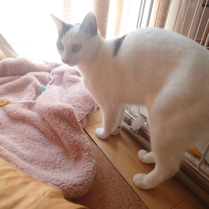 9fe73a54 c16c 4228 821a e6c5dcaf1177 1696646798186