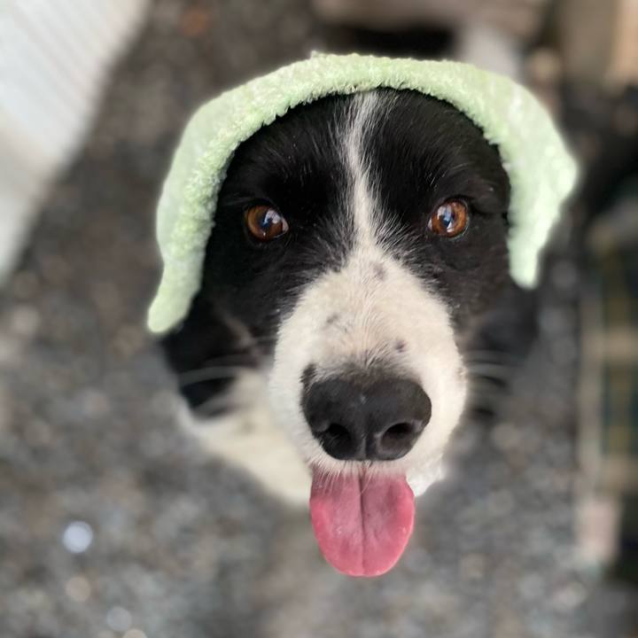 9fe76d2d 208d 4567 8eea 61c8d06ae066 1621042389946