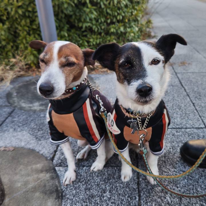 9fe7753b cb73 4e0f b868 60f6e49b4e70 1738967263719