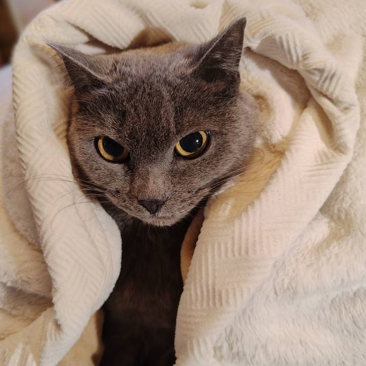 9fe79a54 6b04 4834 ac57 79db7fdb1015 1770512043567