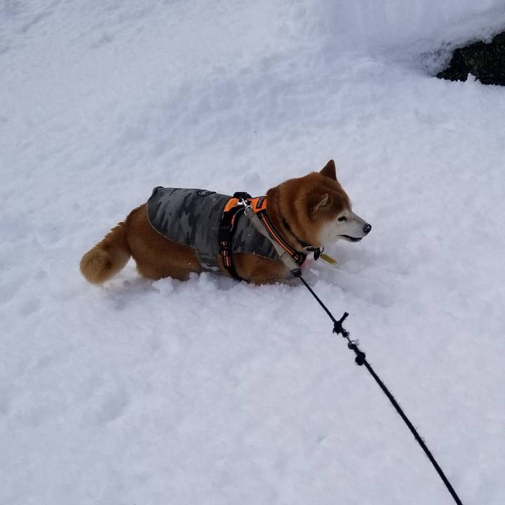 9fe7e46a 1ced 4a7c 93f3 6654a7defa63 1639980423227