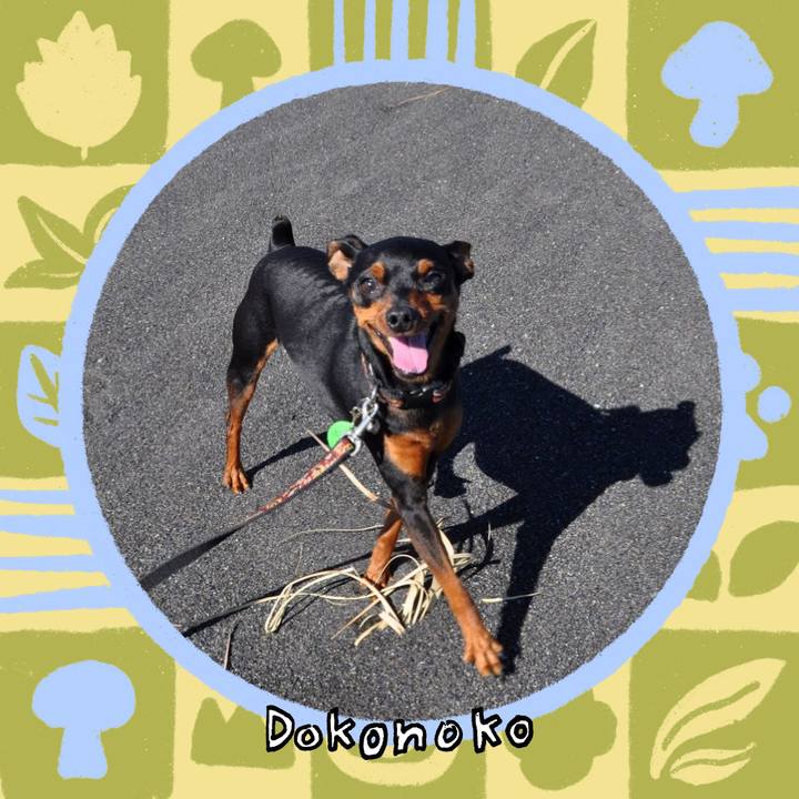 9fe7f9bb 198a 4a61 98af 39530d76bc76 1761225577324