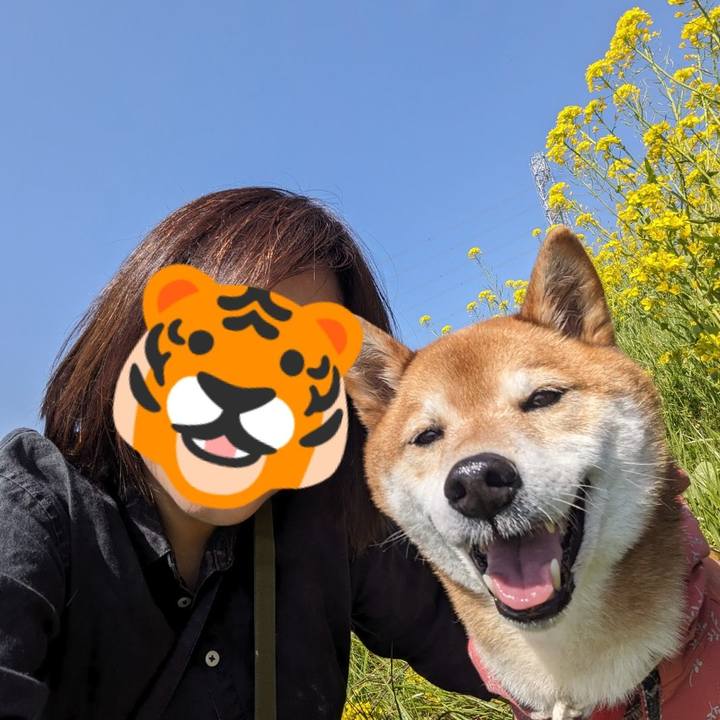 9fe80bef 405a 4855 843d d1ef4709dffd 1711860294674