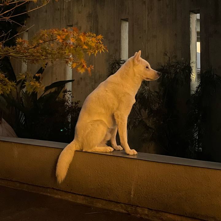 9fe82588 02ff 48ff 8b8b 2e41de7b8b50 1670578820992