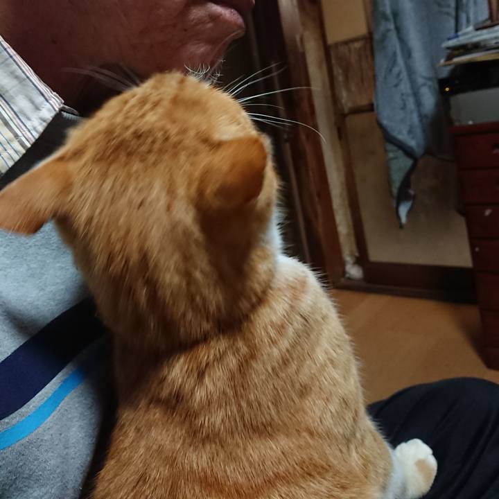 9fe82b91 09af 4fad bc2a f67cf1881163 1606333914738