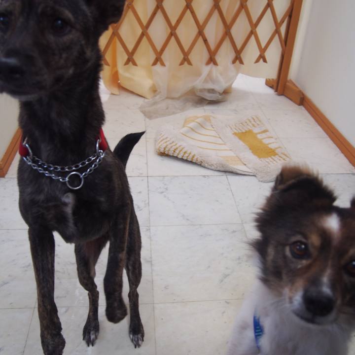 9fe85b7b f3f4 4bbc 88f9 96487fe9d190 1542193585335