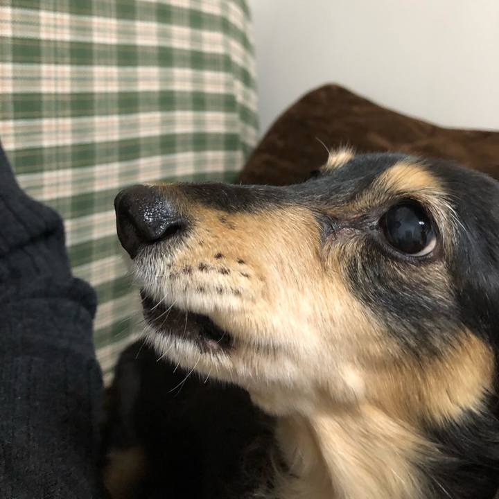 9fe86c71 7d06 4bf2 826c e75bf1fe347b 1608035652477