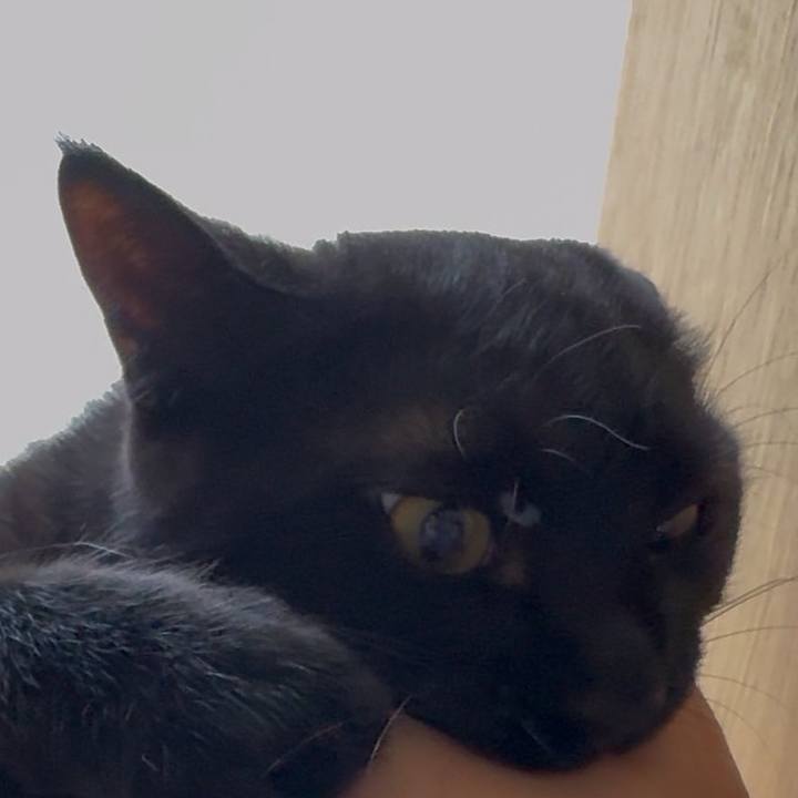 9fe8b94e 7ef9 49e4 9397 16cd8597f451 1741658903383