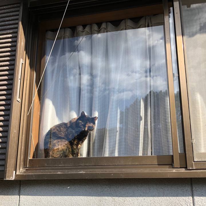 9fe8ed5d cff1 456c bfc3 076def2c83e2 1606104084241