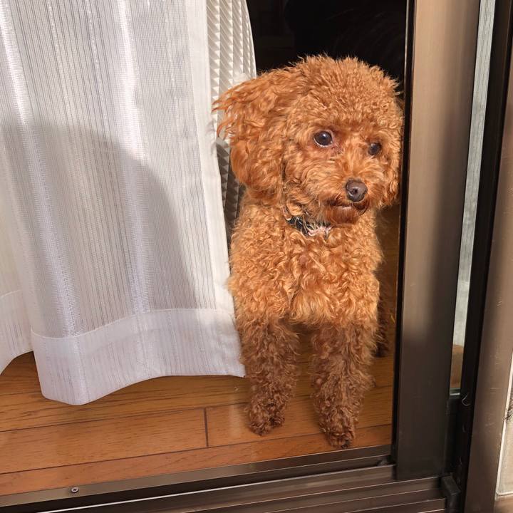 9fe96630 6887 4cbc 8d39 c0477bdf2d79 1517616166038