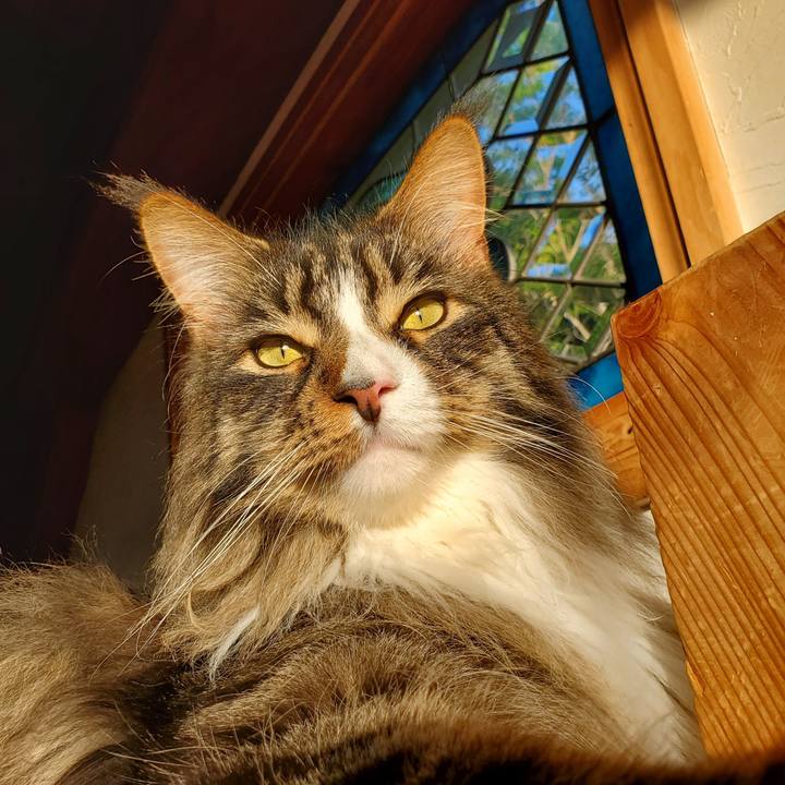 9fe996df e925 458c 80c9 f49ce837755b 1714695511803