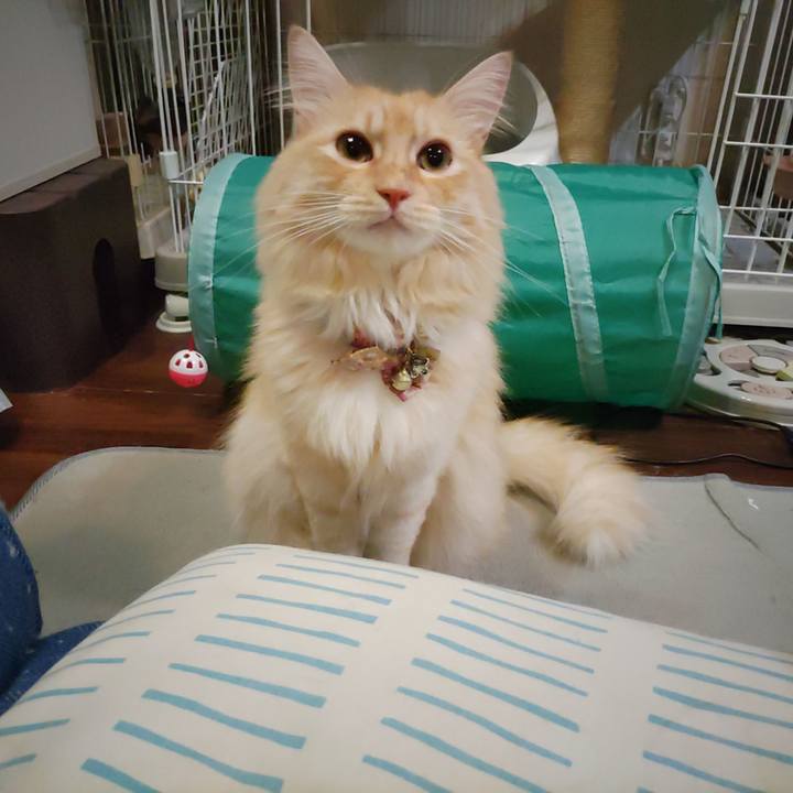 9fe99747 f31f 46cd 985b c10b516cb998 1694096662938