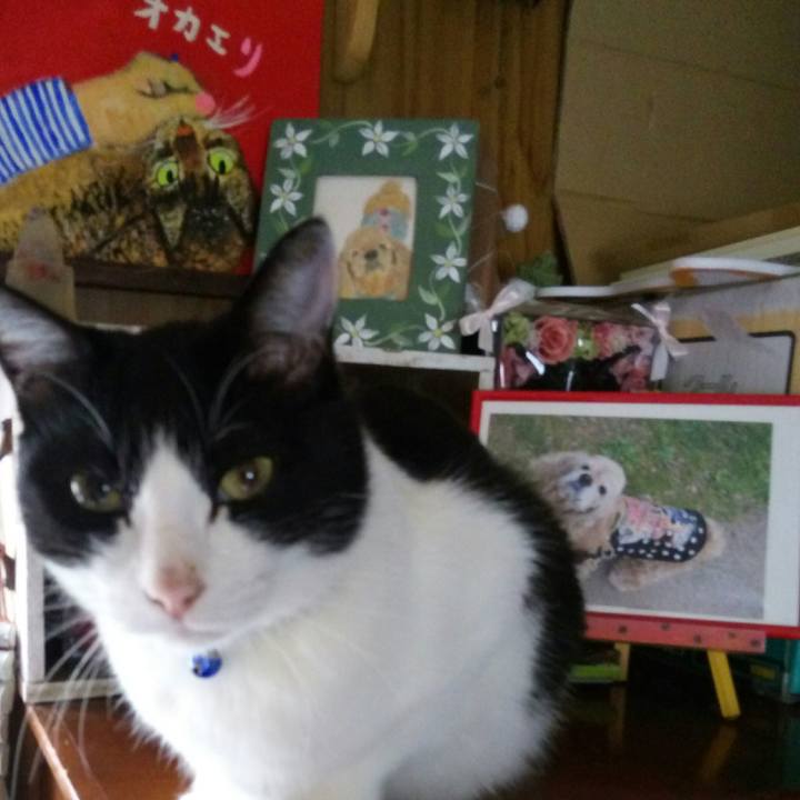 9fe9ac10 988f 47fe bdd0 446cfd141da3 1527064713843