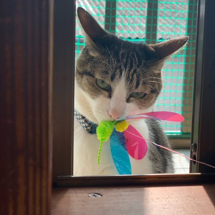 9fea7ef5 58ae 4ed9 83ef b863795cf201 1582299117974