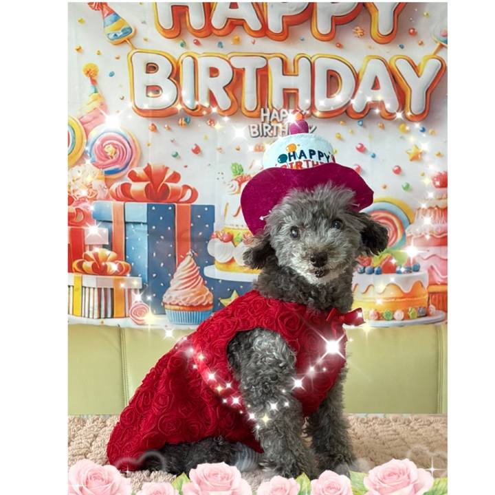 9fea7f03 77d5 4ebc 90d3 9e27f8ce6ddf 1774243476982