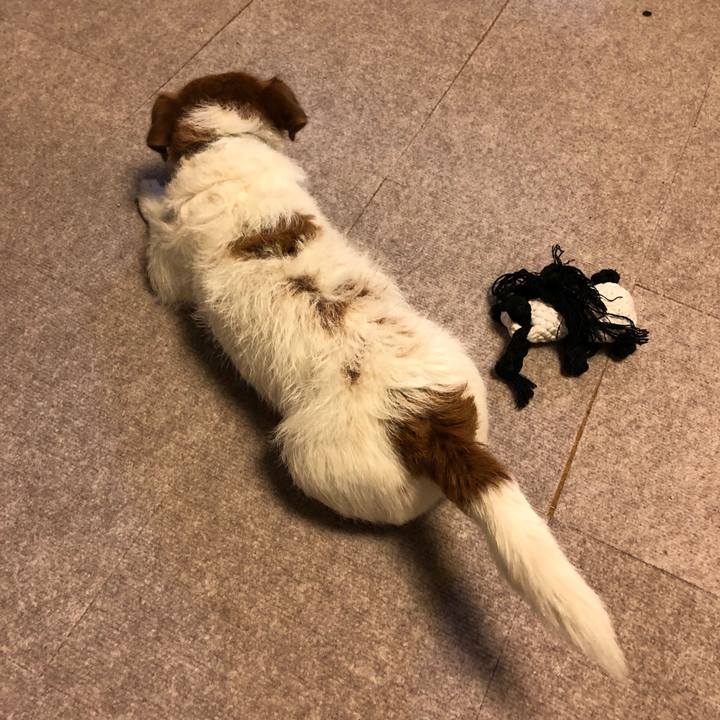 9fea9d90 da85 45b0 93b2 65ebdf6d9ea3 1560688435631