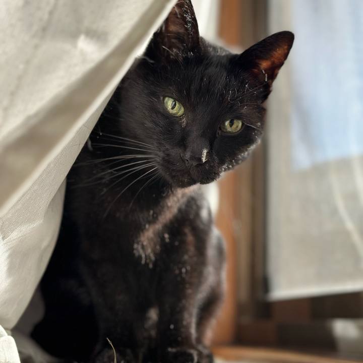 9feabcfb cc3c 47a4 897e cd2fe6d63bbc 1672792618690