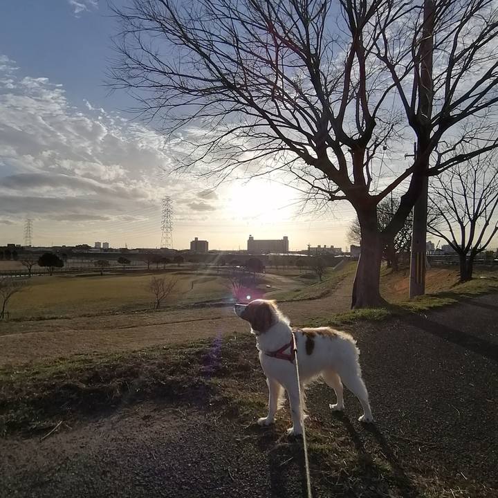 9feabda9 ff00 4a74 b4de 0923d23344ed 1614600042882