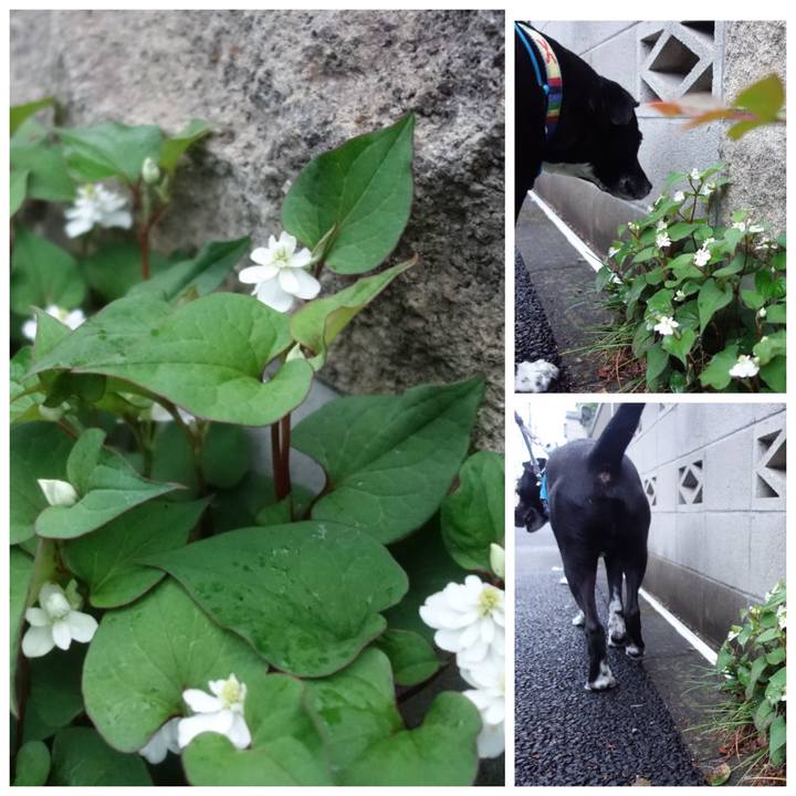 9feac196 ac77 4311 bc7a ecd70afcacee 1684148535175